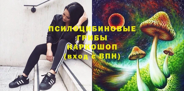 COCAINE Каменск-Шахтинский