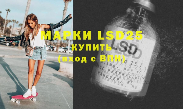 спайс Каменка