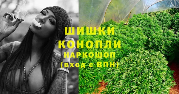прущая мука Иннополис