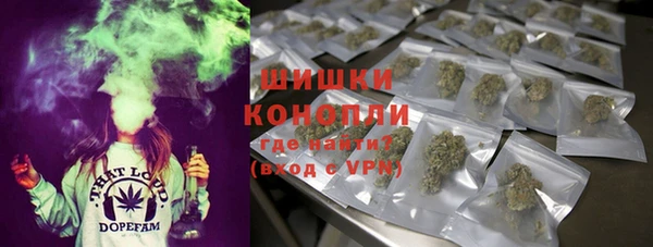 спайс Каменка