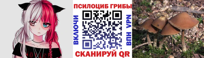 Галлюциногенные грибы мухоморы  Купить где  Верхняя Тура 